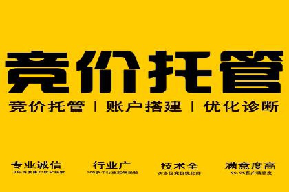 百度推广公司案例研究：从失败中汲取经验，实现华丽转身
